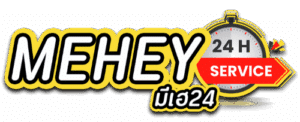 mehey24 logo